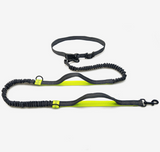 Running Reflective Pull Dog Leash