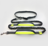 Running Reflective Pull Dog Leash