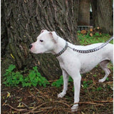 Silver Cuban Link Leash