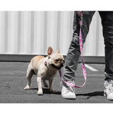 Pastel Camo Leash