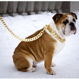 Gold Cuban Link Leash