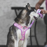 Pastel Camo Harness