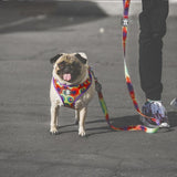 Tie-Dye Harness